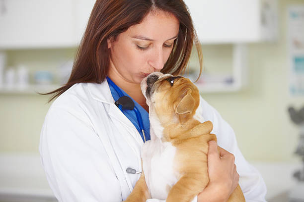 istock Each of my furry patients is special! 174395272