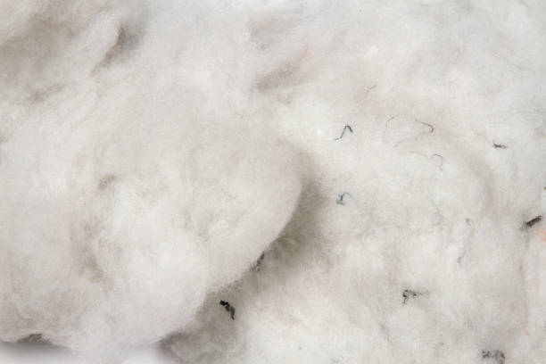 Polyester stable fiber with blurred green background