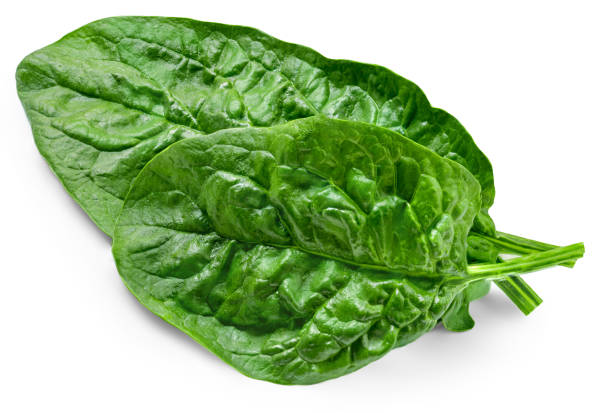 istock Fresh green leaves of Spinach leafy vegetable isolated on white background. Spinach Macro. Top view. Flat lay. 1743977059