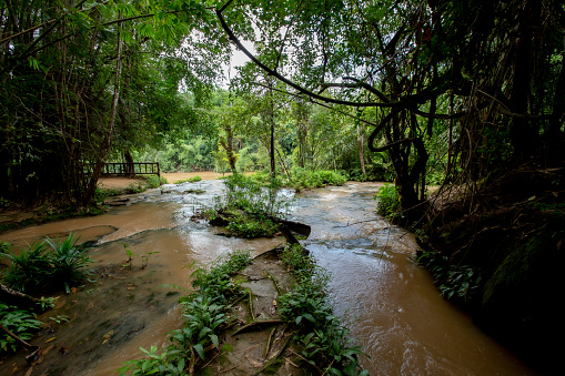 waterfall in river with stones in forest in summer on cloudy day