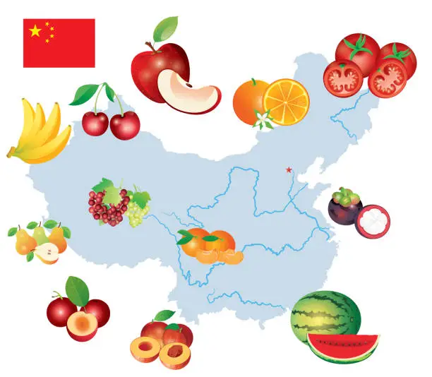 Vector illustration of China Fruits Map