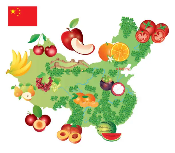 Vector illustration of China Fruits Map