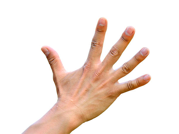 istock Hand with open five fingers as a clean action 174400671