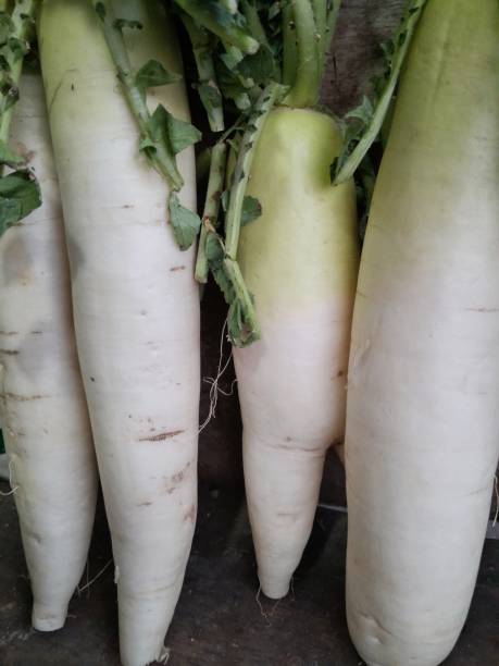 istock Several white radishes displayed in a traditional market. 1744018183
