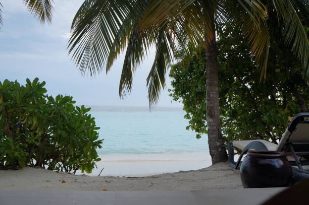 istock Maldives beach on a cloudy day 1744032755