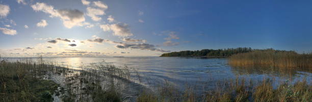 秋の風景、湖のパノラマ、前景の黄色い乾いた葦 - 湖岸 ストックフォトと画像