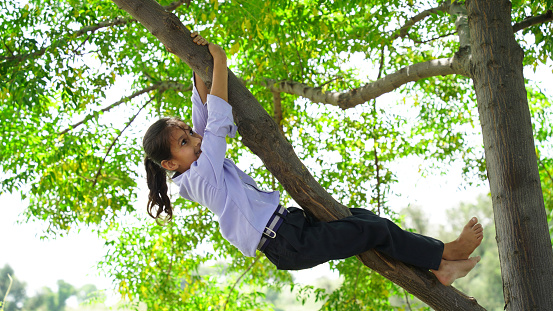 Happy smiling girl hanging on a tree. The child laughs happily. Spring mood. Active lifestyle. Tree climbing.