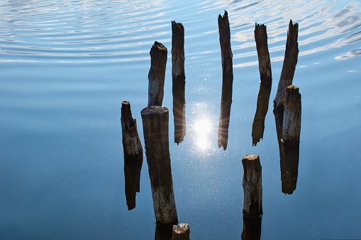 Minimalistic photography of wooden poles in water