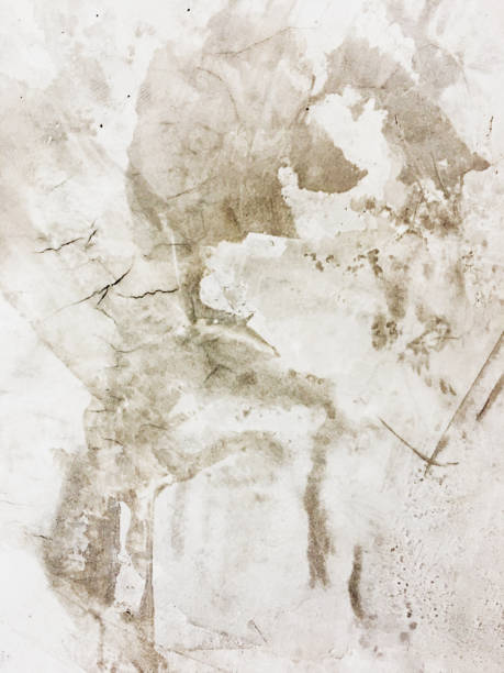 istock Old cement wall with crack monochrome background 1744118215