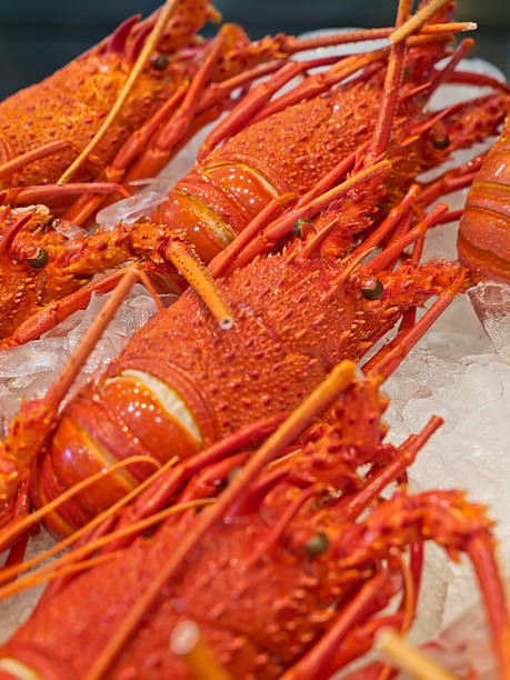 Preparado Lobsters - foto de stock