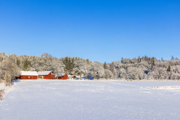 istock Countryside view with a farm on a sunny winter day 1744135824