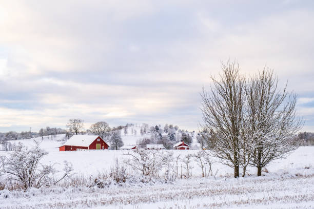 istock Wintery landscape view in the countryside 1744136400