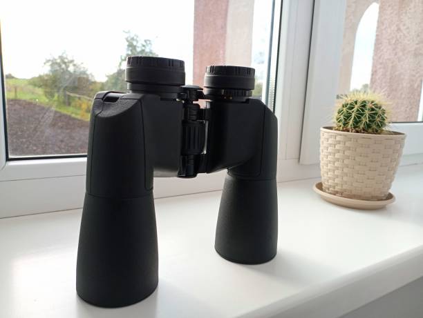 istock Binoculars on the windowsill in the room next to a pot with a cactus. A subject for better consideration of objects at a long distance. 1744164196
