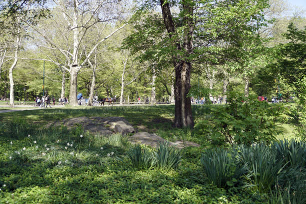 Central Park - Manhattan - New-York City