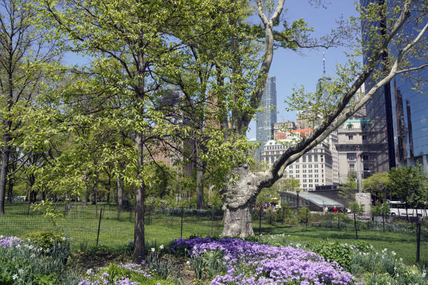 istock Central Park - Manhattan - New-York City 1744166427