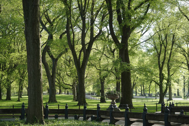 istock Central Park - Manhattan - New-York City 1744166432