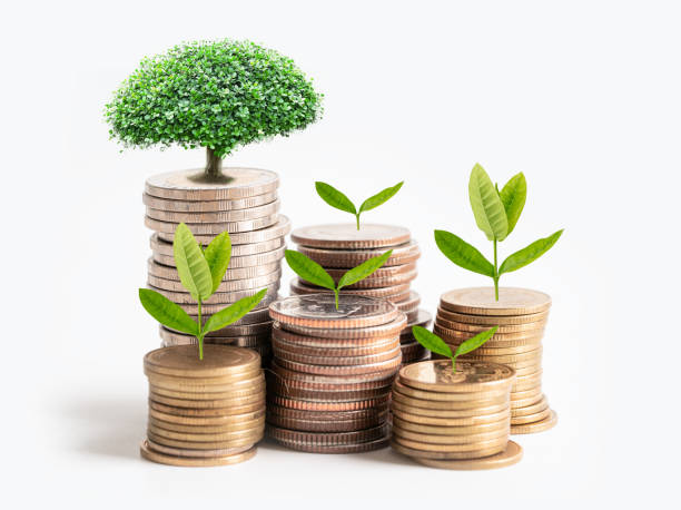 istock Tree plumule leaf on save money stack coins, Business finance saving banking investment concept. 1744174007