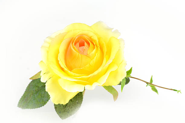 istock Colorful Artificial Flower Arrangement on white background 174419013