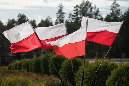 Independence background. Freedom of nation. Poland country.