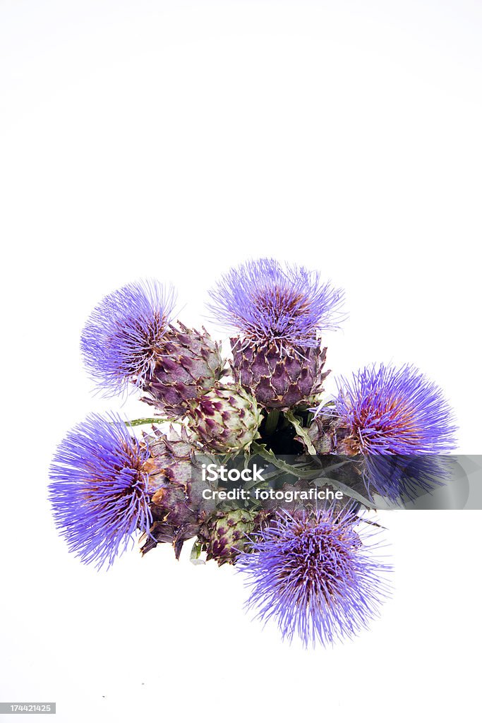 Artichoke Flowering Season, The Flower Of The Artichoke Abstract Stock Photo