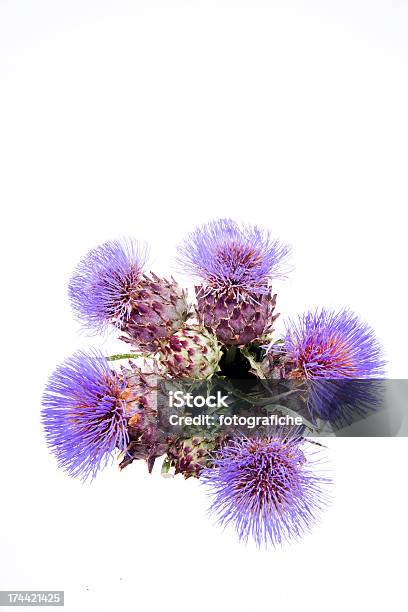 Artichoke Stock Photo - Download Image Now - Abstract, Artichoke, Backgrounds