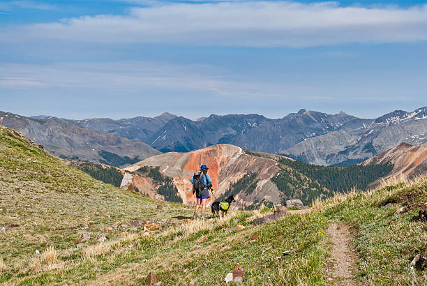 Hiker and Dog Looking at Red Mountain A young woman hiker and her companion dog look out over the San Juan Mountains from 12,000' Columbine Lake Pass in the San Juan National Forest near Silverton, Colorado, USA. jeff goulden domestic animal stock pictures, royalty-free photos & images