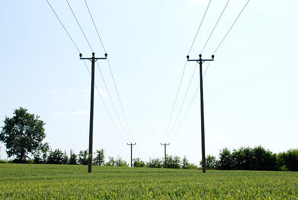 istock Electricity pylons in a rural setting 174422683
