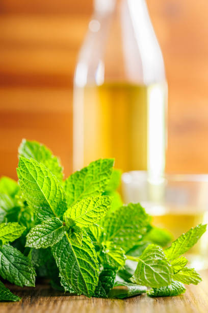 istock Green mint leaves on wooden table. 1744229666