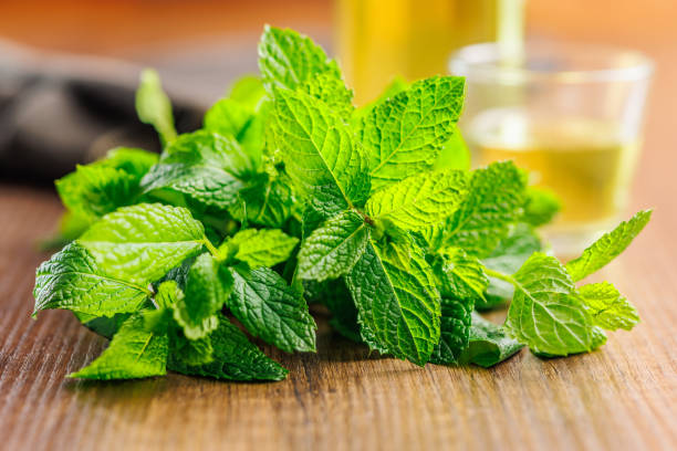 Green mint leaves on wooden table.