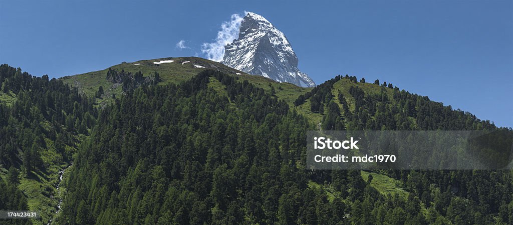 Monte Cervino, Svizzera - Foto stock royalty-free di Albero