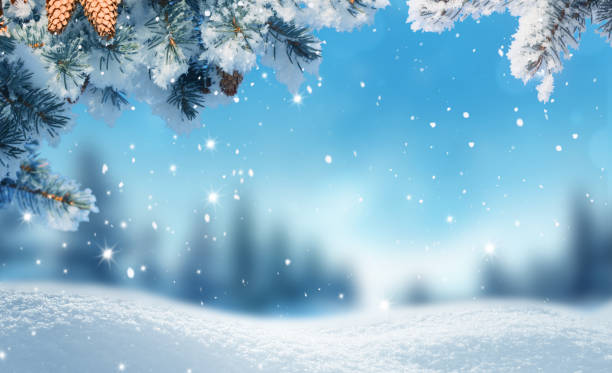 istock Winter  background with fir tree branch 1744238701