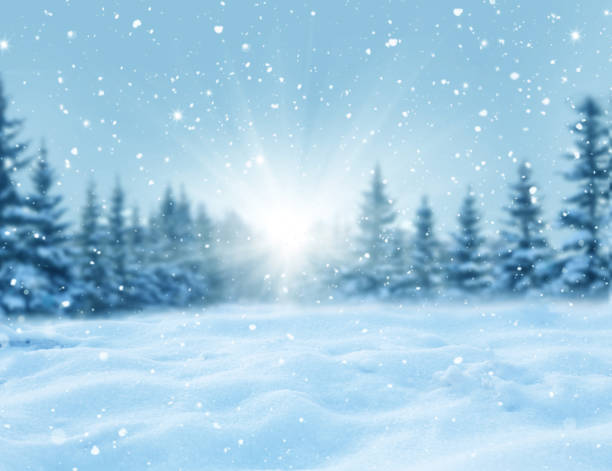 istock Winter Christmas background with fir tree branch 1744242639