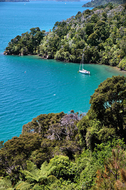 istock Sailboat in the Marlborough Sounds 174425041