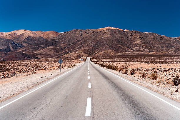 istock Lauca National Park, Chile 174425482