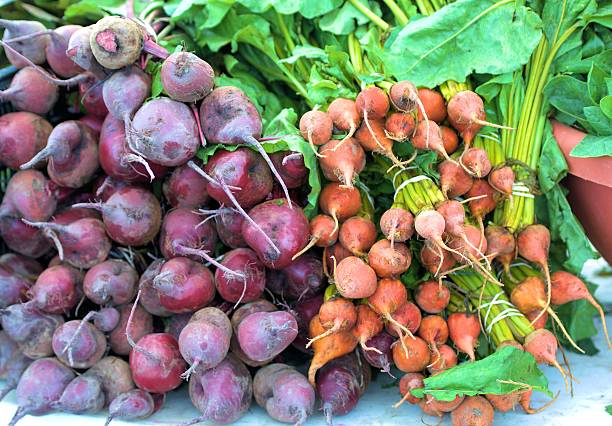 Beets and radish