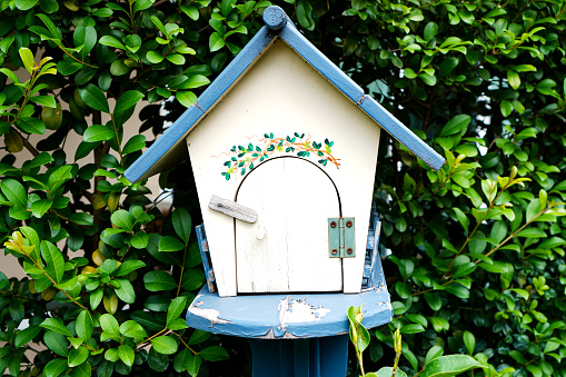 Picture of small wooden birdhouse for backyard decoration