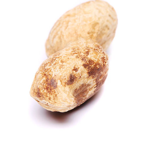 ピーナッツの白い背景にクローズアップ - hypogaea arachis brown close up ストックフォトと画像