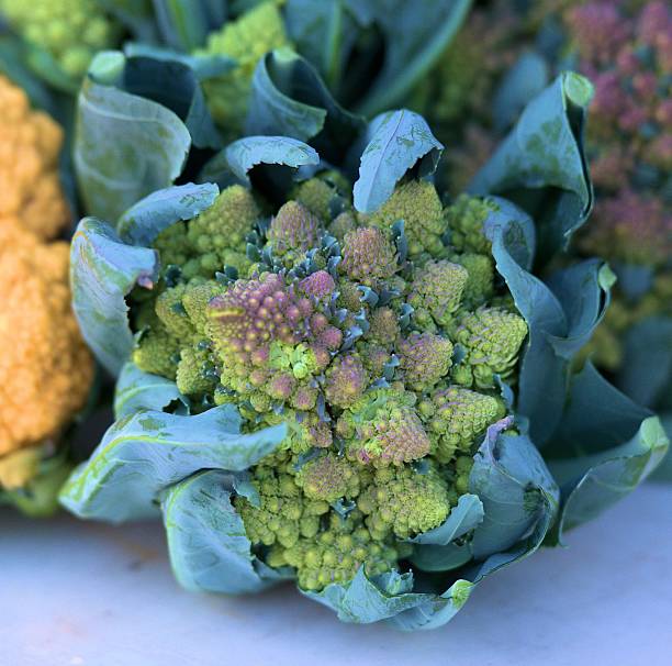 Cauliflower stock photo