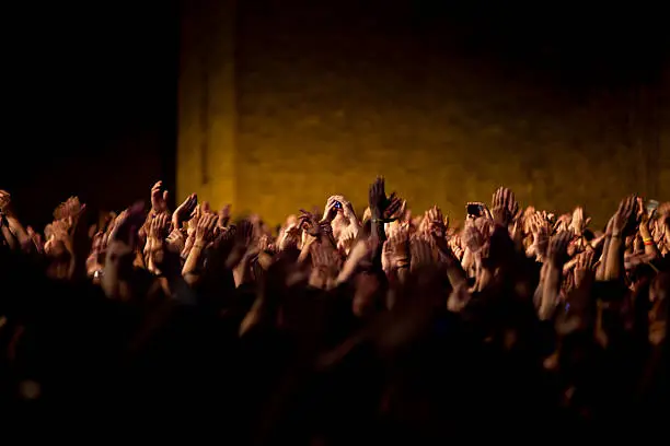 Photo of Waving during the concert