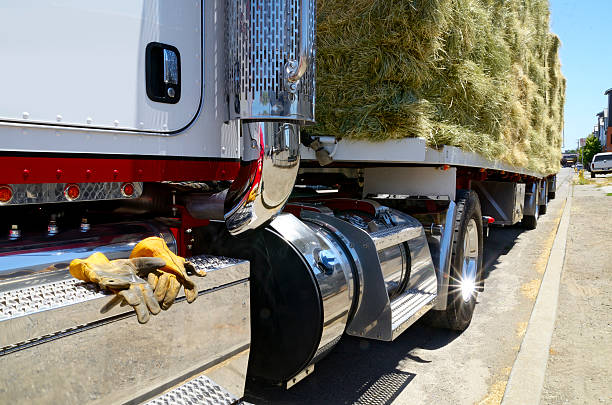 vista de perto de um caminhão repleto de feno - built structure truck trucking fuel storage tank - fotografias e filmes do acervo