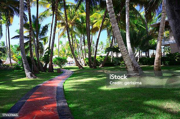 Giardino Tropicale - Fotografie stock e altre immagini di Isola - Isola, Miami, Interno di casa