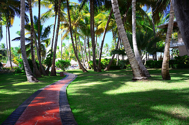 tropikalny garden - brazil beach copacabana beach recreational pursuit zdjęcia i obrazy z banku zdjęć