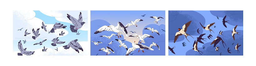 Different birds fly in spring sky set. Swallow, white seagull, pigeon flock flying, floating in air. Urban doves, gulls flapping wings. Wild animals with feather background. Flat vector illustration.