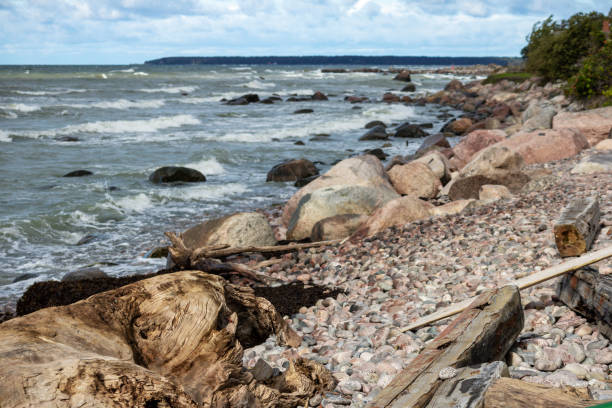 istock rocky sea beach in the morning 1744329699