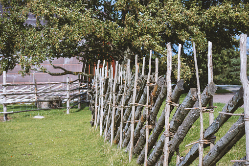 An old wooden fence entwined along the green grass