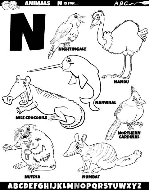cartoon animal characters for letter N set coloring page Cartoon illustration of animal characters set for letter N coloring page nutria rodent animal alphabet stock illustrations