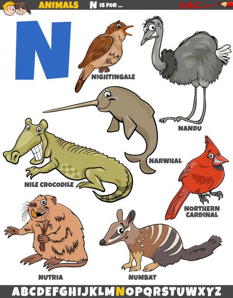 cartoon animal characters for letter N educational set Cartoon illustration of animal characters set for letter N nutria rodent animal alphabet stock illustrations