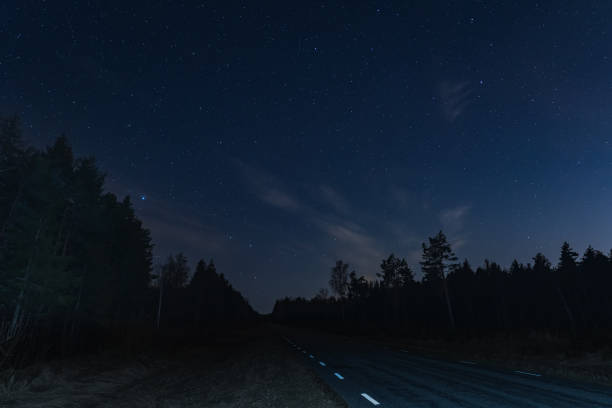 istock Night road through the forest with a starry sky. 1744352923