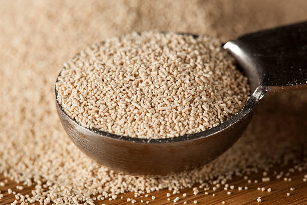 fotografii de stoc, fotografii și imagini scutite de redevențe cu drojdie organică raw pentru coacerea pâinii - drojdie