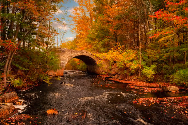 istock autumn  landscape. An ancient stone bridge over a river and yellow trees 1744369619